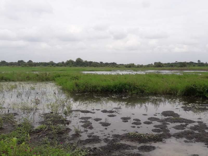 Climate resilient communities in the flood plain of the Mono river in Benin