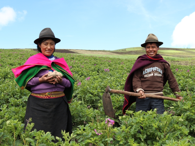 Increasing the climate resilience of small farmers in the potato production chain