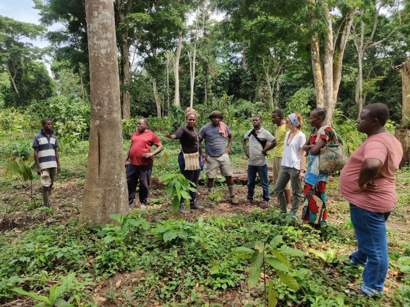Reducing deforestation and forest degradation by promoting community market-based solutions