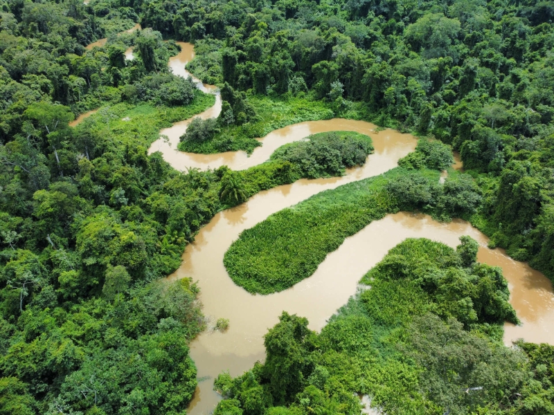 Ogen op de Amazone: bosbescherming door patrouilles, goed bestuur en satellieten