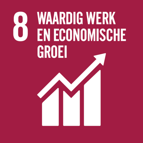 SDG - 08 Eerlijk werk en economische groei