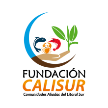 Calisur Fundacion