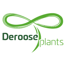 Deroose Plants