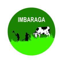 Logo IMBARAGA